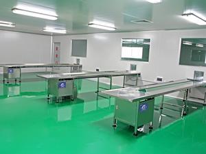 Cinta transportadora